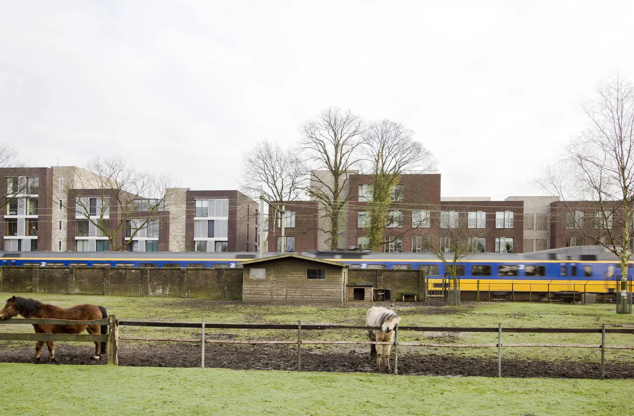 Levs w koster05