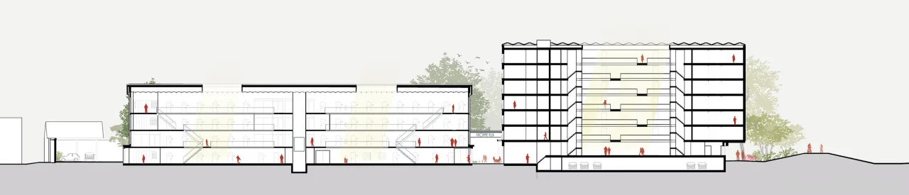 LEVS Pieter Baan Centrum terreindoorsnede1