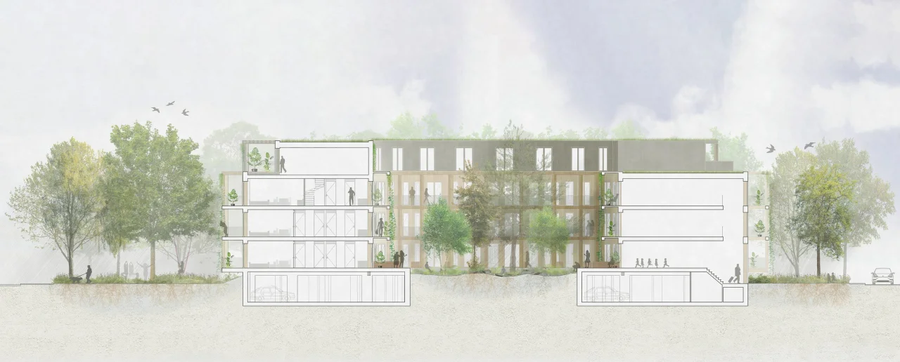 LEVS Root doorsnede beeld LEVS architecten en BOOM Landscape min