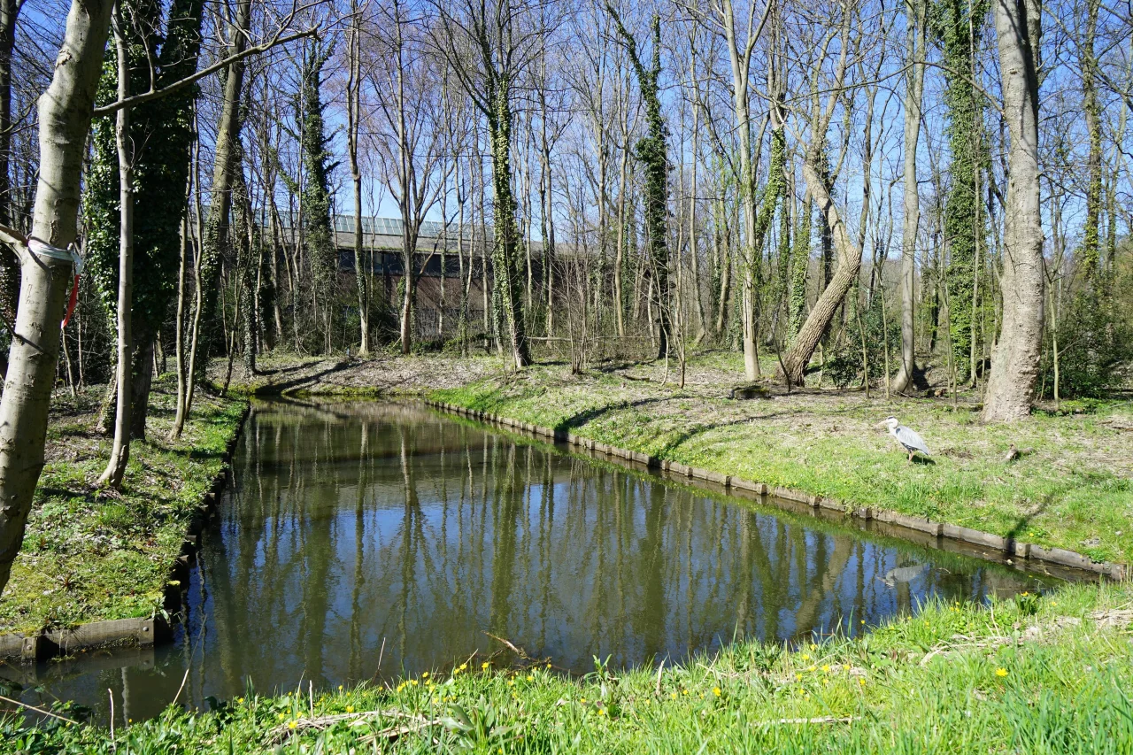 LEVS Hembrugterrein locatiefoto min