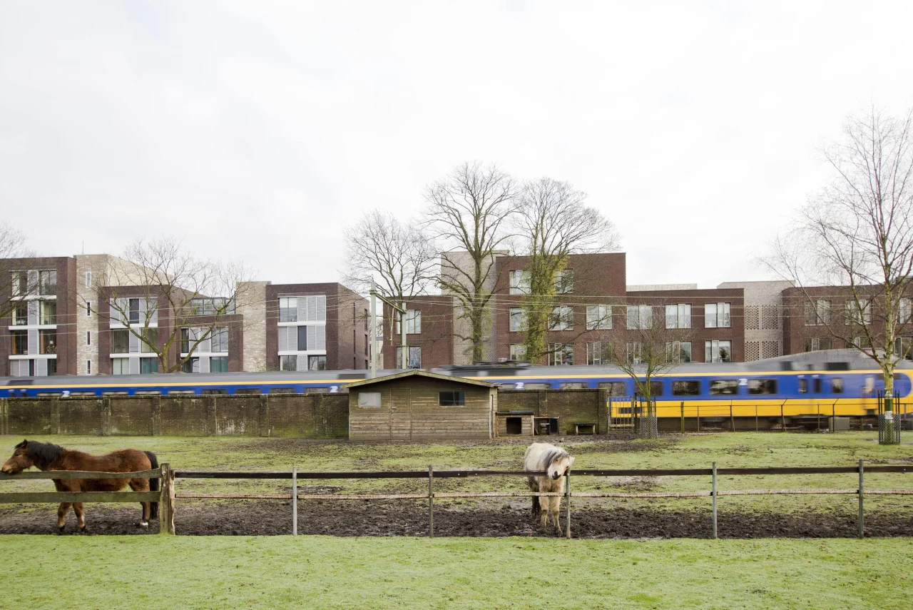 LEVS Koster foto 12