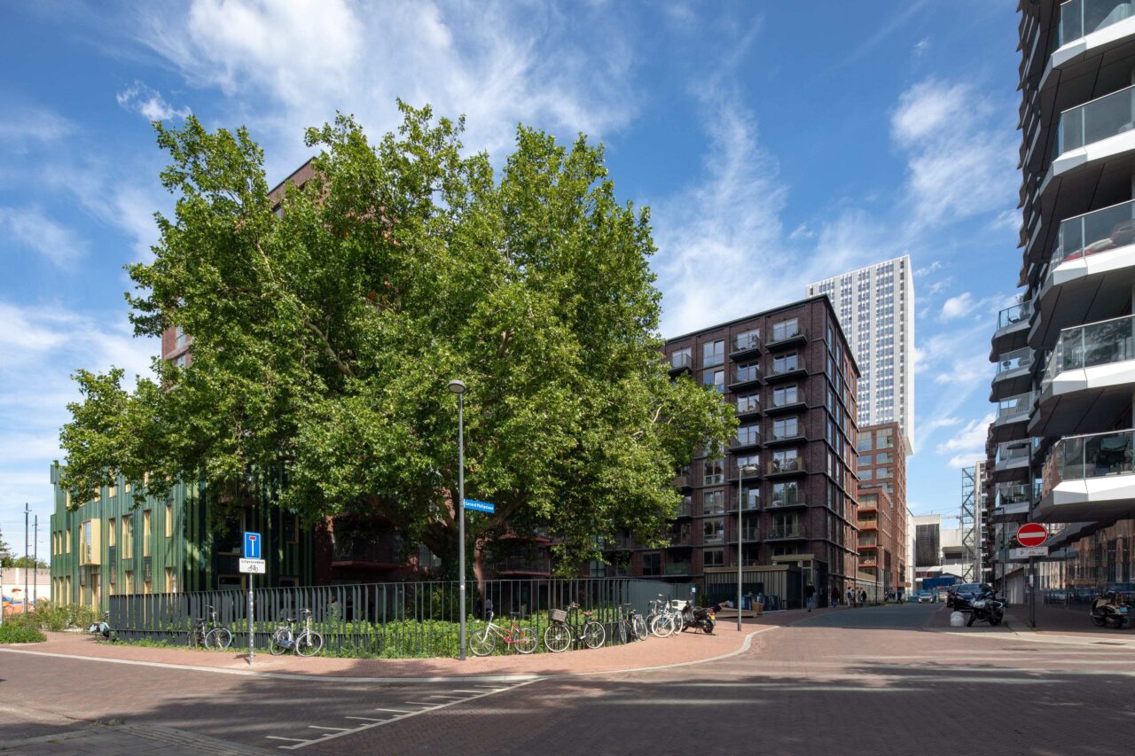 LEVS Groot Hartje 33 min