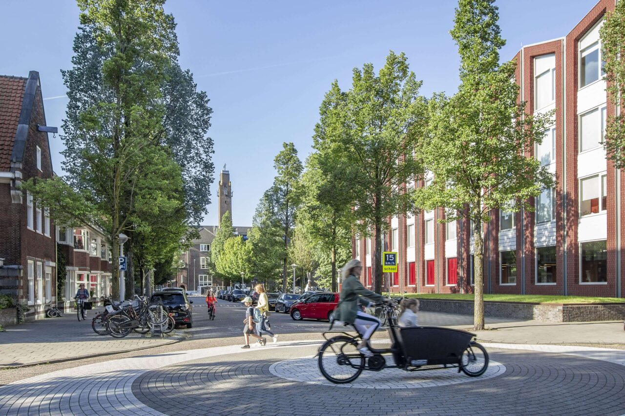 LEVS Lexicon 07 Cardle 10 min