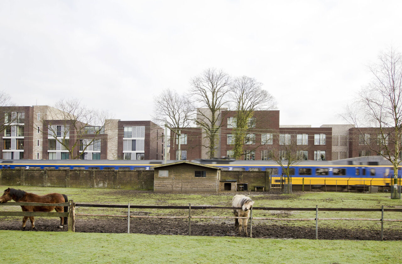 Levs w koster05